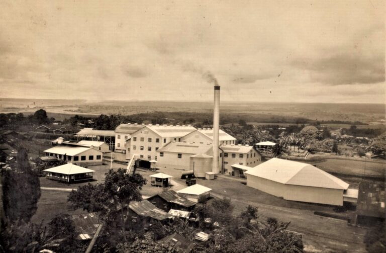 Hawaiʻi Plantations Portuguese Family History Collections of Hawai'i